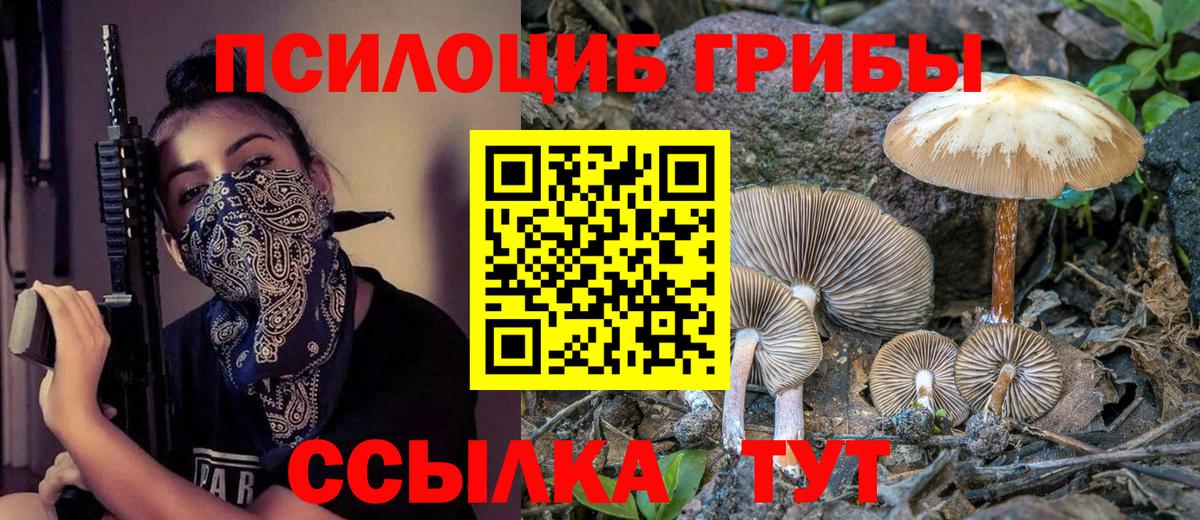 Галлюциногенные грибы мицелий  Вход с VPN  Будённовск 